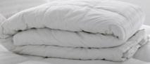 SHERIDAN OUTLET DELUXE FEATHER & DOWN QUILT